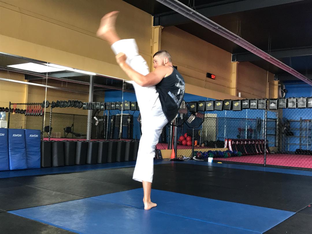 Carlson3 Martial Journal