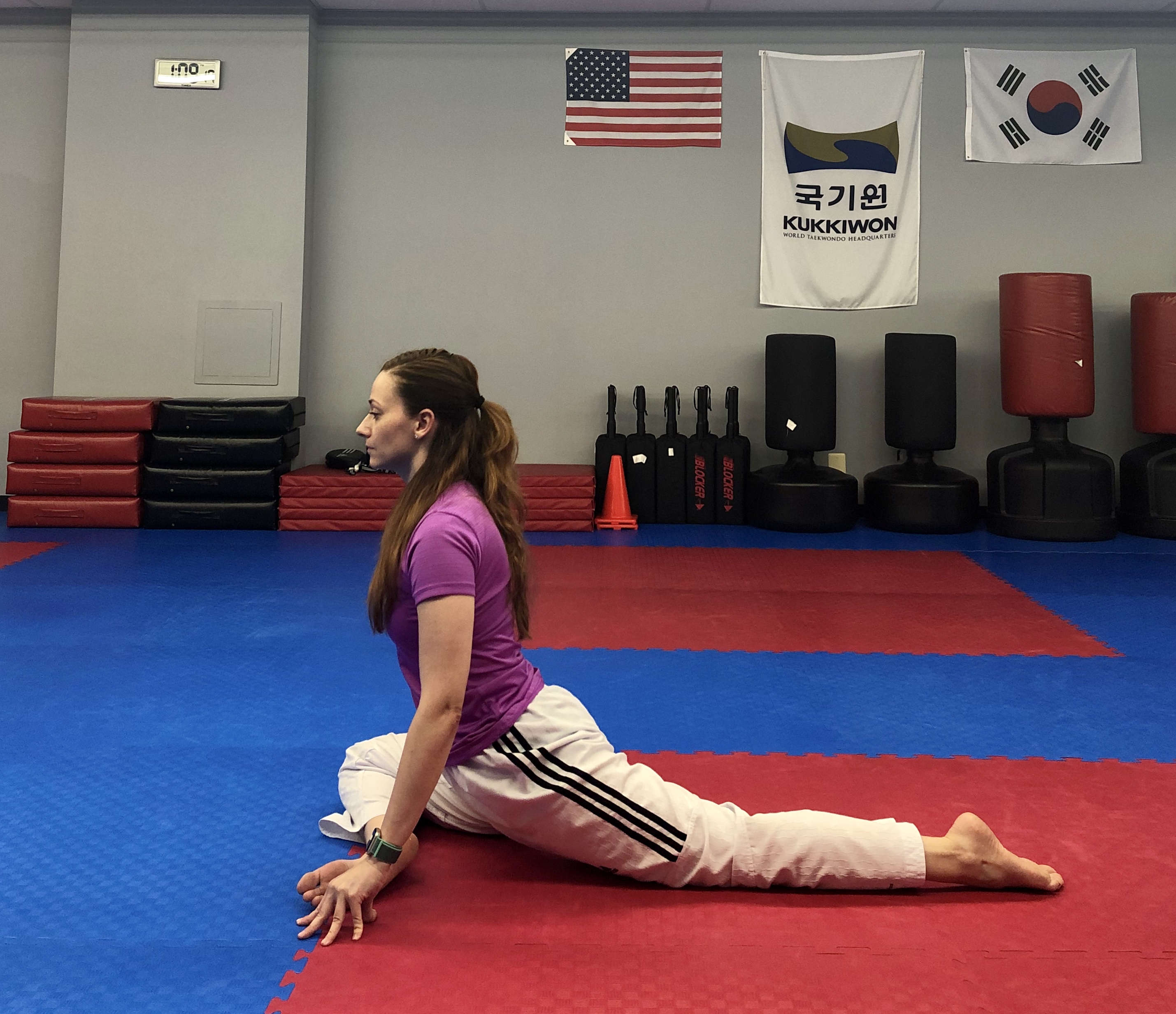 Open Your Hips Martial Journal