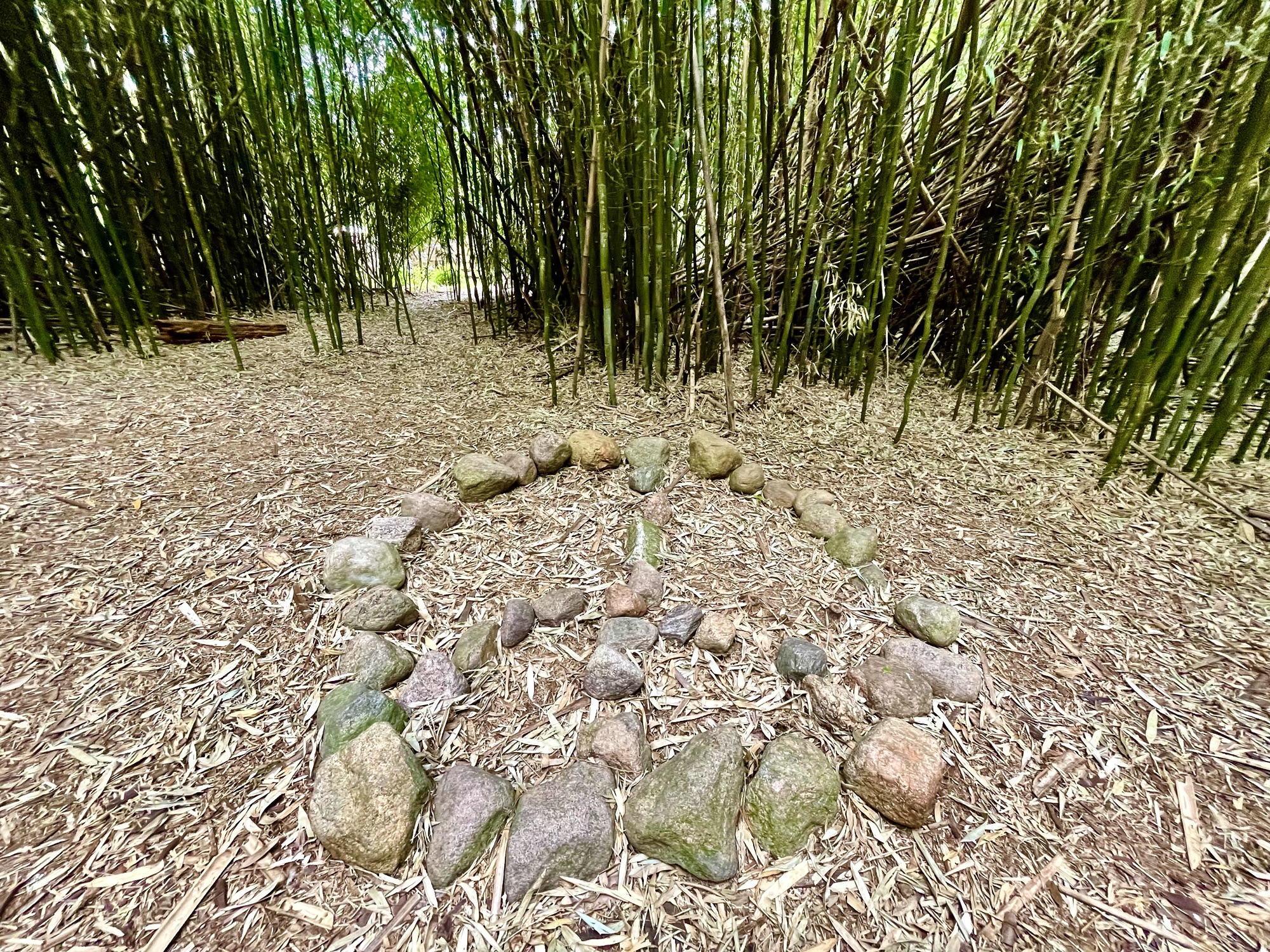 Img 3372 Martial Journal